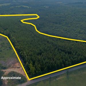 Photo #2 of Wyatt Miles Road, Gladys, VA 25.0 acres