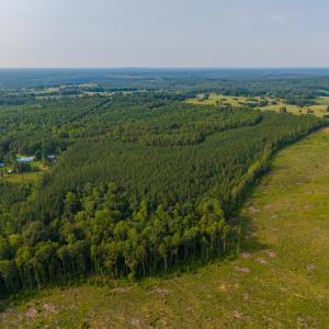Photo #9 of Wyatt Miles Road, Gladys, VA 25.0 acres