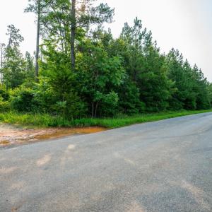 Photo #4 of Wyatt Miles Road, Gladys, VA 25.0 acres