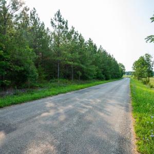 Photo #3 of Wyatt Miles Road, Gladys, VA 25.0 acres
