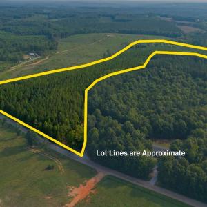 Photo #15 of Wyatt Miles Road, Gladys, VA 25.0 acres