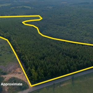 Photo #2 of Wyatt Miles Road, Gladys, VA 25.0 acres