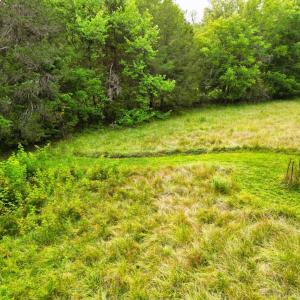 Example of walking paths