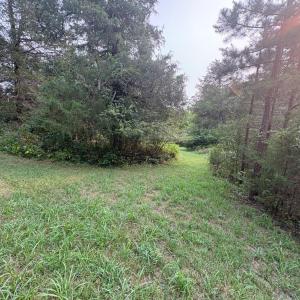 Mowed path