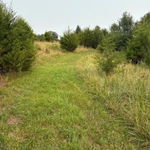 Mowed path