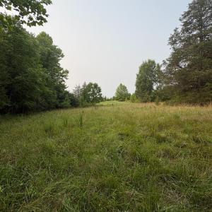 View from lower end of lot