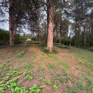 Photo #14 of Two Bid Road, Evington, VA 4.5 acres