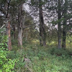 Photo #20 of Two Bid Road, Evington, VA 4.5 acres
