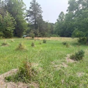 Photo #21 of Two Bid Road, Evington, VA 4.5 acres