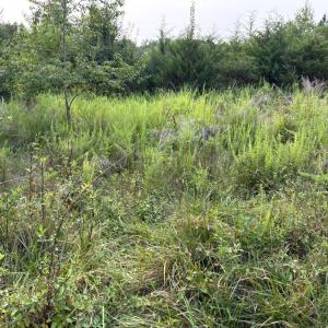 Photo #19 of Two Bid Road, Evington, VA 4.5 acres