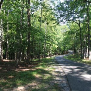 Photo #3 of Wilderness Way, Moneta, VA 3.0 acres