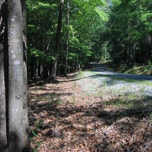 Photo #4 of Wilderness Way, Moneta, VA 3.0 acres