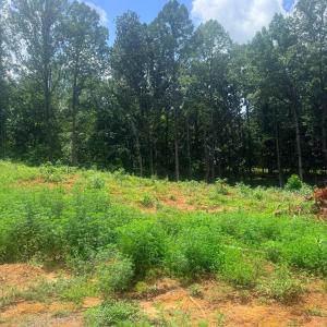 Photo #3 of 18 Oriole Court, Bedford, VA 0.4 acres