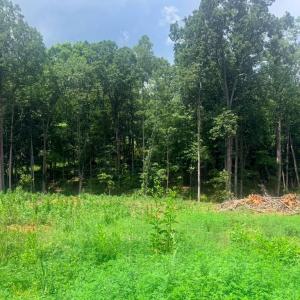 Photo #2 of 19 Oriole Court, Bedford, VA 0.6 acres