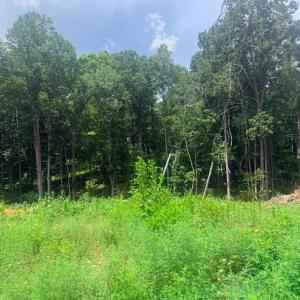 Photo #4 of 19 Oriole Court, Bedford, VA 0.6 acres