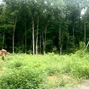 Photo #2 of 20 Oriole Court, Bedford, VA 0.5 acres
