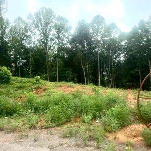 Photo #1 of 20 Oriole Court, Bedford, VA 0.5 acres