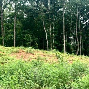 Photo #4 of 20 Oriole Court, Bedford, VA 0.5 acres