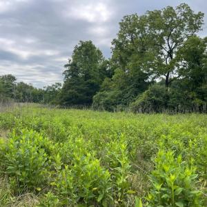 Photo #4 of Moneta Road, Bedford, VA 35.6 acres
