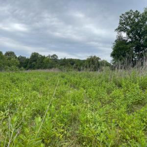 Photo #5 of Moneta Road, Bedford, VA 35.6 acres