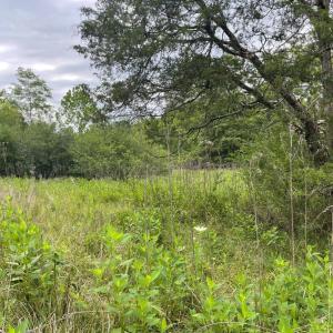 Photo #3 of Moneta Road, Bedford, VA 35.6 acres
