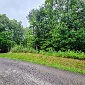 Photo #4 of Gap Bridge Road, Moneta, VA 0.9 acres