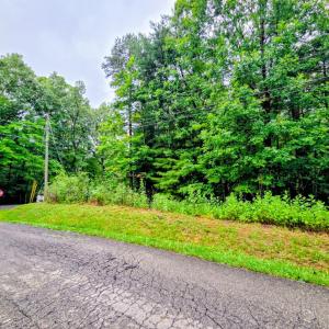 Photo #5 of Gap Bridge Road, Moneta, VA 0.9 acres