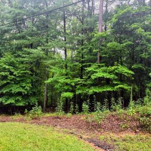 Photo #2 of Gap Bridge Road, Moneta, VA 0.9 acres