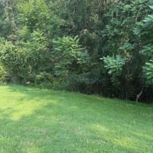 Photo #3 of 30 North Hills Drive, Bedford, VA 0.6 acres
