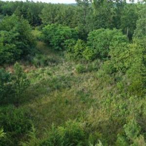 Photo #5 of Lot 301 Runaway Bay, Lynch Station, VA 2.6 acres