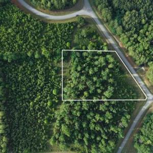 Photo #16 of Lot 301 Runaway Bay, Lynch Station, VA 2.6 acres