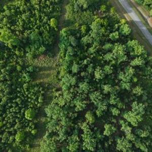 Photo #13 of Lot 301 Runaway Bay, Lynch Station, VA 2.6 acres