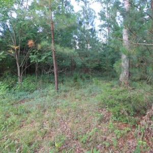 Photo #10 of Lot 301 Runaway Bay, Lynch Station, VA 2.6 acres