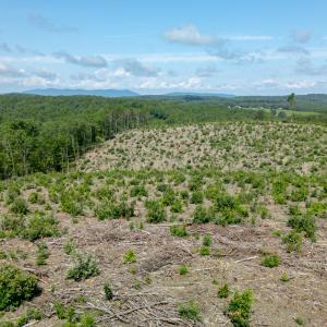 Photo #9 of Weatherford Drive, Gretna, VA 17.8 acres
