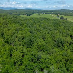 Photo #8 of Weatherford Drive, Gretna, VA 17.8 acres
