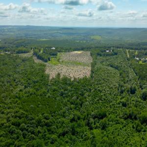 Photo #7 of Weatherford Drive, Gretna, VA 17.8 acres