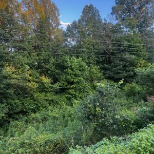 Photo #7 of S Amherst Highway, Monroe, VA 33.7 acres