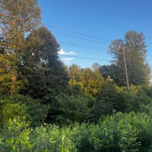 Photo #4 of S Amherst Highway, Monroe, VA 33.7 acres