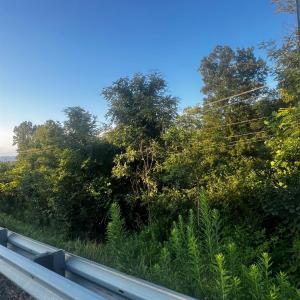 Photo #8 of S Amherst Highway, Monroe, VA 33.7 acres