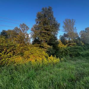 Photo #6 of S Amherst Highway, Monroe, VA 33.7 acres