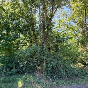 Photo #5 of 11 Hill Crest Lane, Chatham, VA 0.7 acres