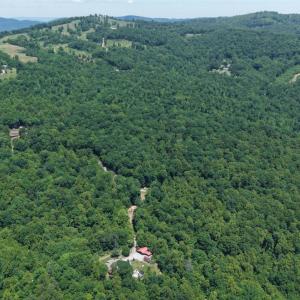 Photo #12 of Hickory Falls Road, Blue Ridge, VA 3.0 acres