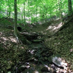 Photo #6 of Hickory Falls Road, Blue Ridge, VA 3.0 acres
