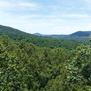 Photo #7 of Hickory Falls Road, Blue Ridge, VA 3.0 acres