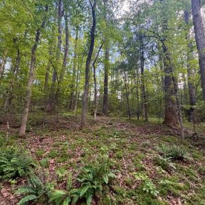 Photo #24 of 2400 Tribble Lane, Goochland, VA 9.0 acres