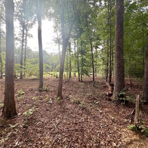 Photo #25 of 2400 Tribble Lane, Goochland, VA 9.0 acres