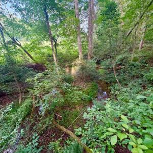 Photo #21 of 2400 Tribble Lane, Goochland, VA 9.0 acres
