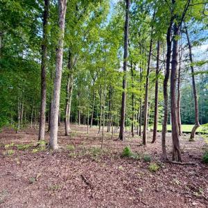 Photo #26 of 2400 Tribble Lane, Goochland, VA 9.0 acres