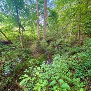 Photo #22 of 2400 Tribble Lane, Goochland, VA 9.0 acres