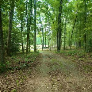 Photo #10 of 2400 Tribble Lane, Goochland, VA 9.0 acres